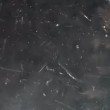 NERO MARQUINA 